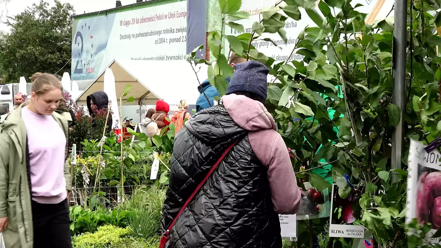Kaszubska Jesień Rolnicza w Lubaniu. Dwa dni wypełnione atrakcjami