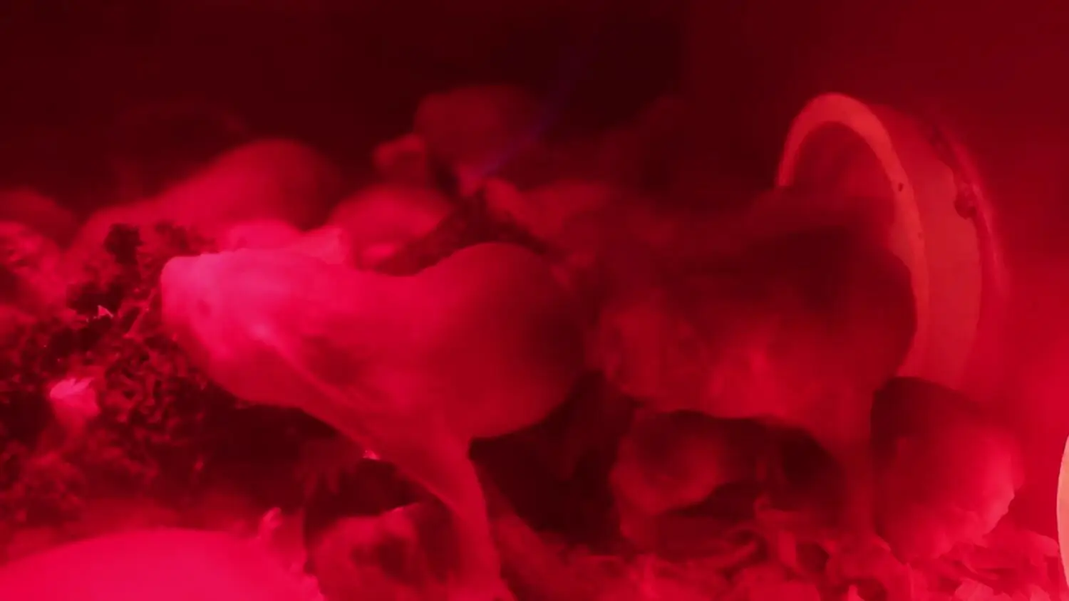 W Gdańskim Ogrodzie Zoologicznycm na świat przyszły golce piaskowe