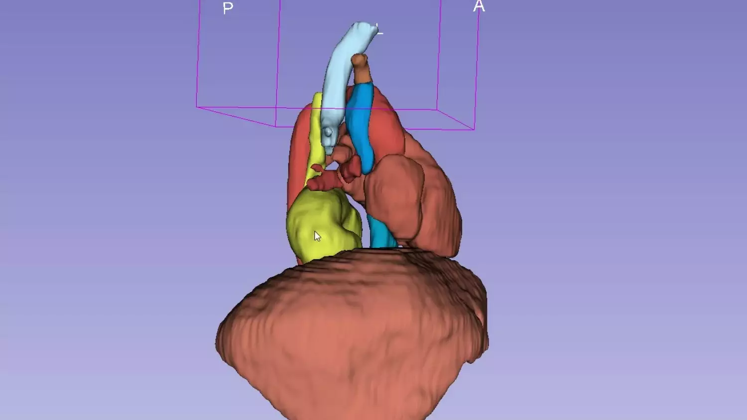 Unikalny zabieg na Zaspie w Gdańsku. Pomogła „technologia przyszłości”