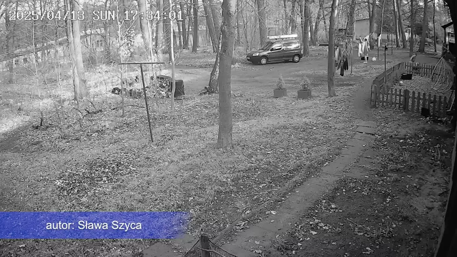 Dzieci znęcały się nad psem w Dzierżążnie! Mamy nagranie