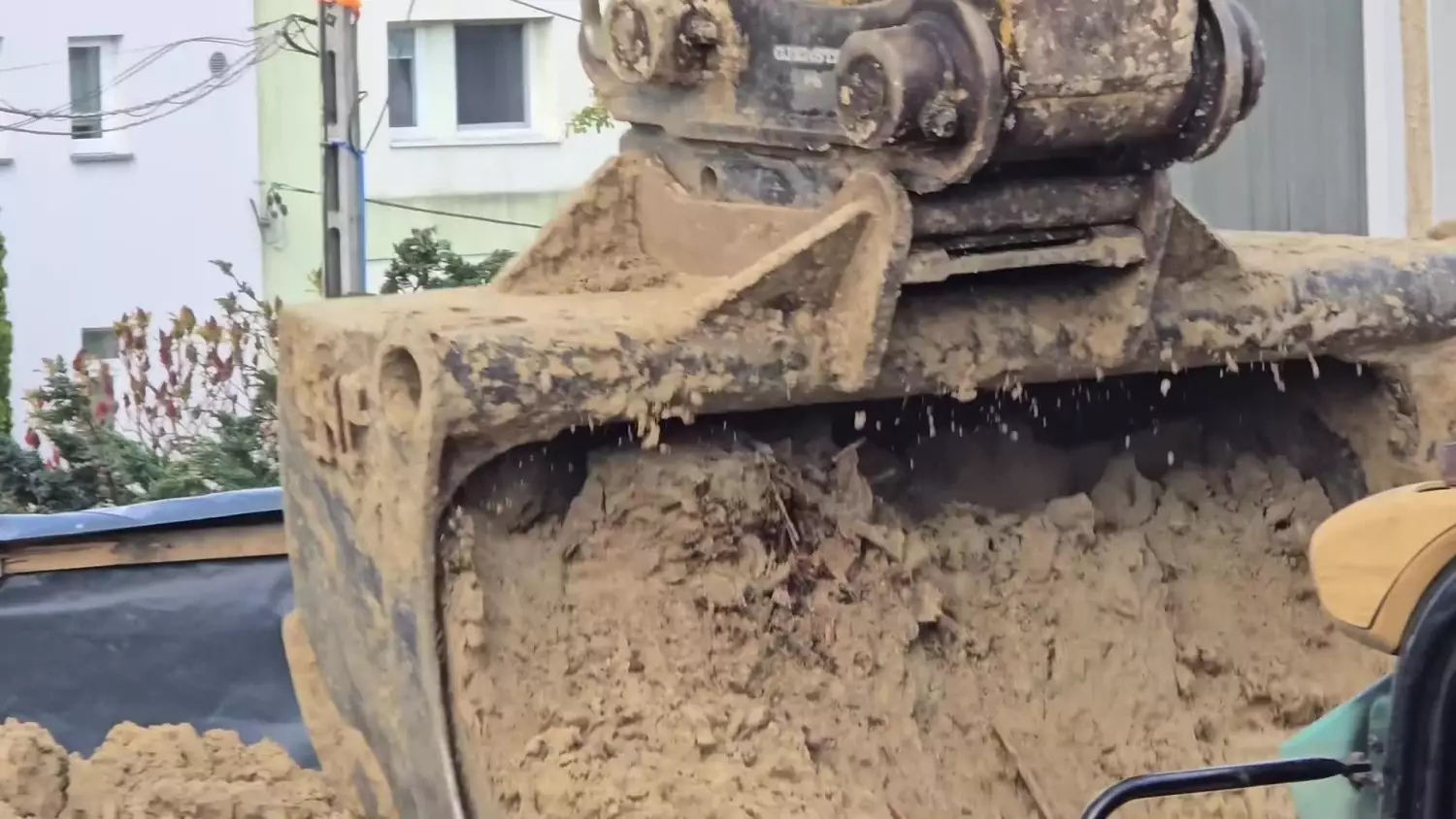 Dęby pod ochroną zagrożone przez budowę? Mieszkańcy Gdyni interweniują