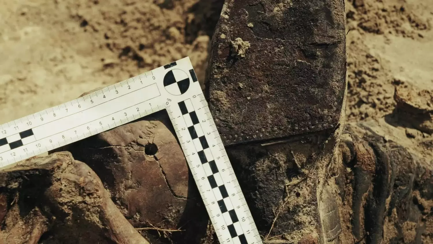 Nowe fakty w sprawie Zbrodni Pomorskiej