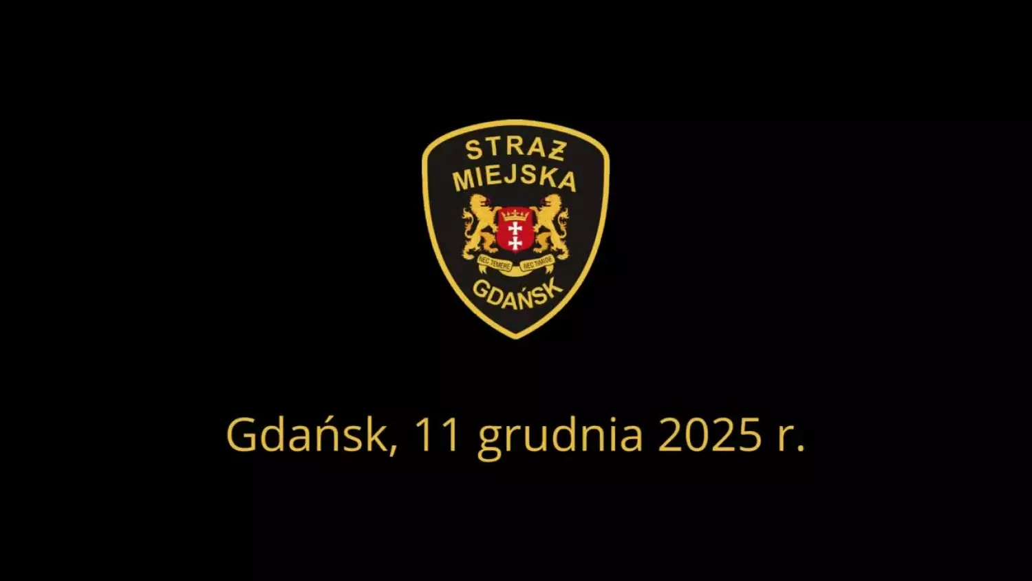 Chciały selfie na choince, wpadły do środka. Nagranie z Gdańska