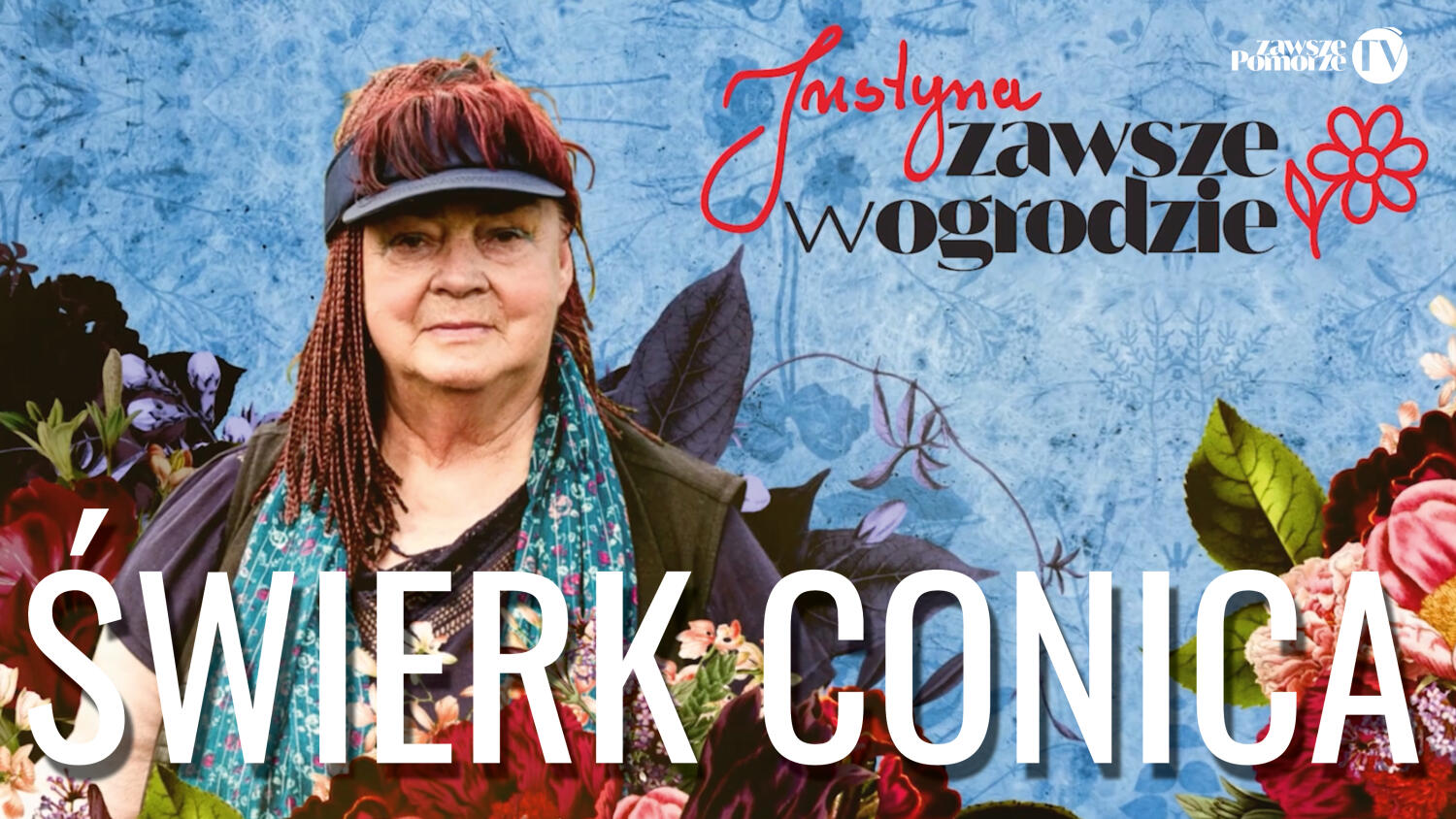 „Justyna zawsze w ogrodzie”. Świerk Conica – pielęgnacja, przycinanie i ochrona