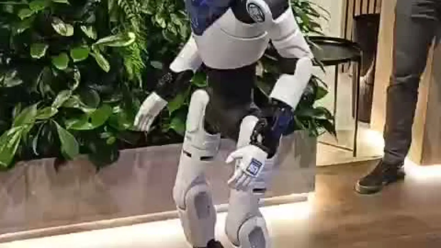 Robot przechadza sie wśród uczestników EFNI 2026